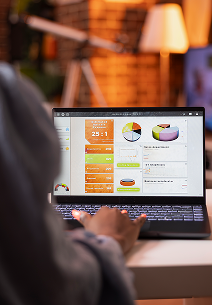 CRM & CMS Customization
