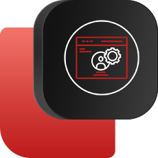 crm-&-cms-customization