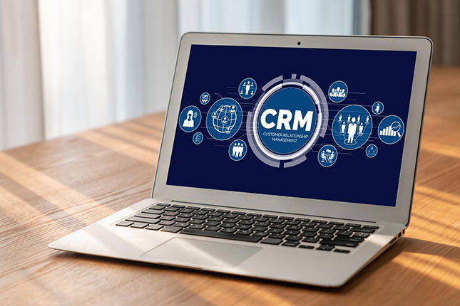 CRM & CMS Customization