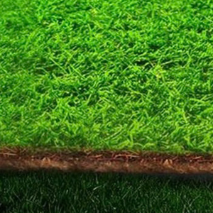 komkare grass mat