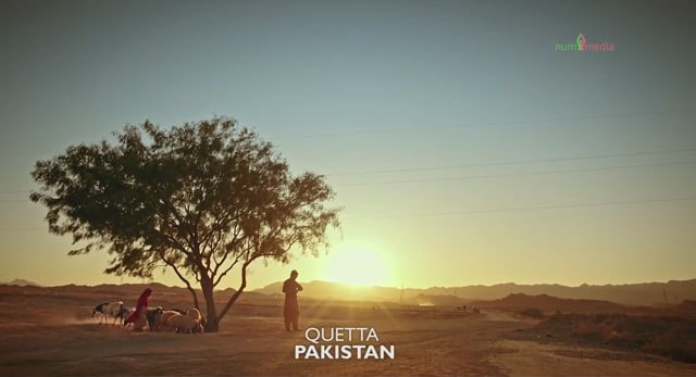 Brown Bag Family Planning